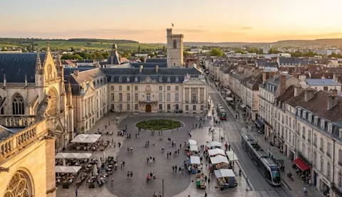dijon (1)