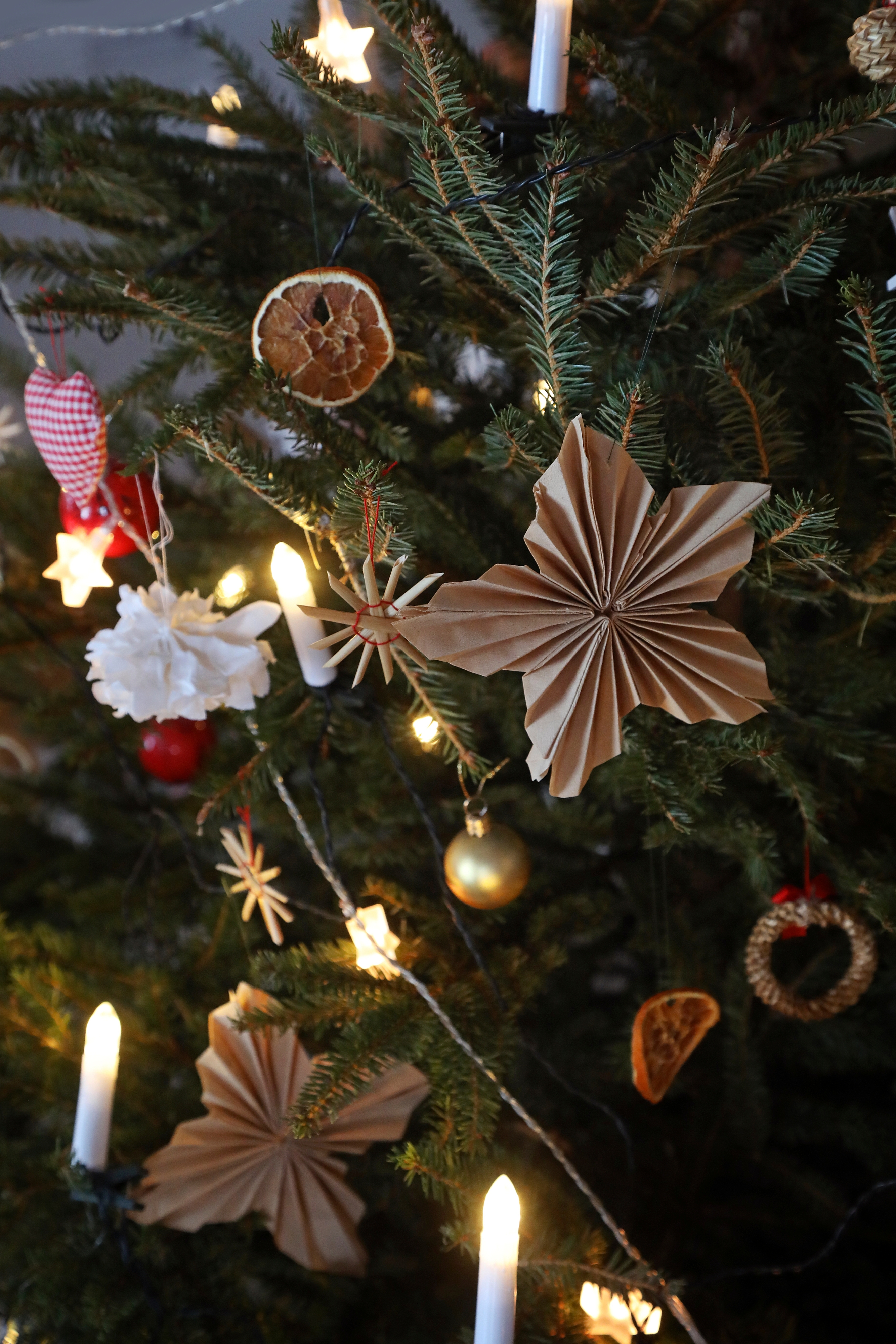 Paper filter stars on a Christmas tree