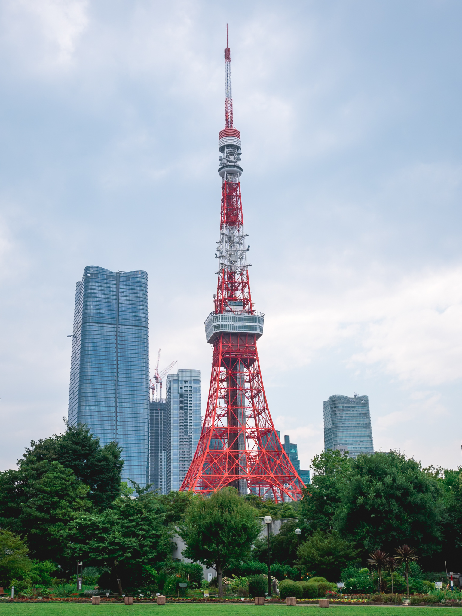 東京タワーを真正面から撮影するなら芝公園がおすすめ！