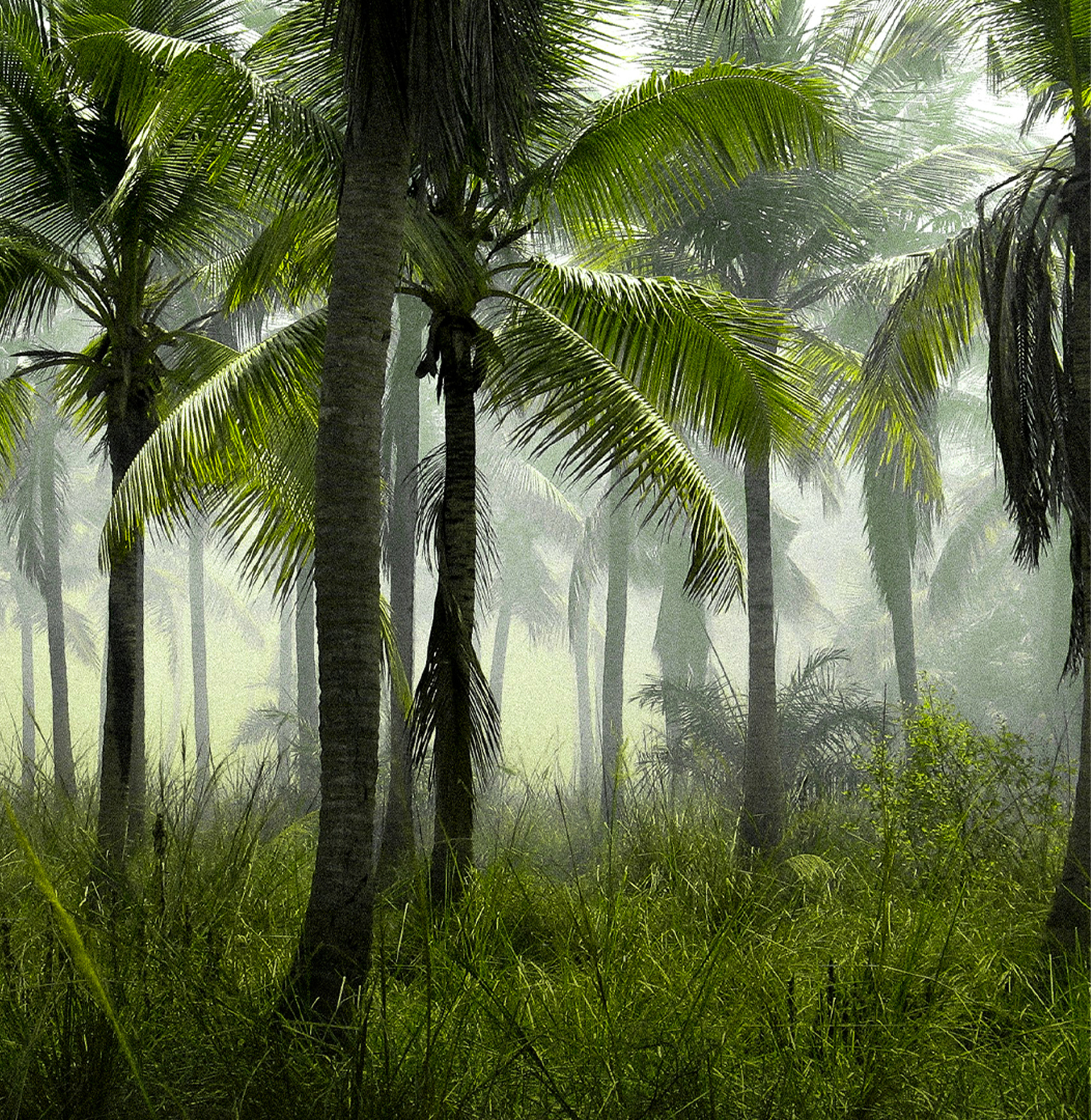 Vignette_Projet_Teahupo'o