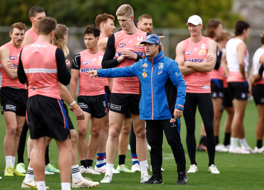 western bulldogs 2021 mens training shorts