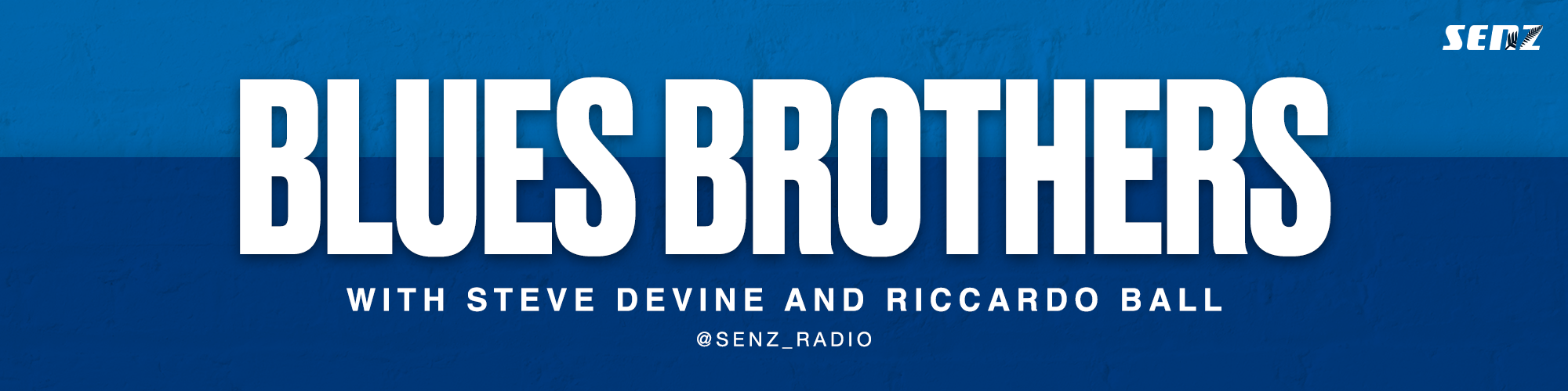BluesBrothers Banner
