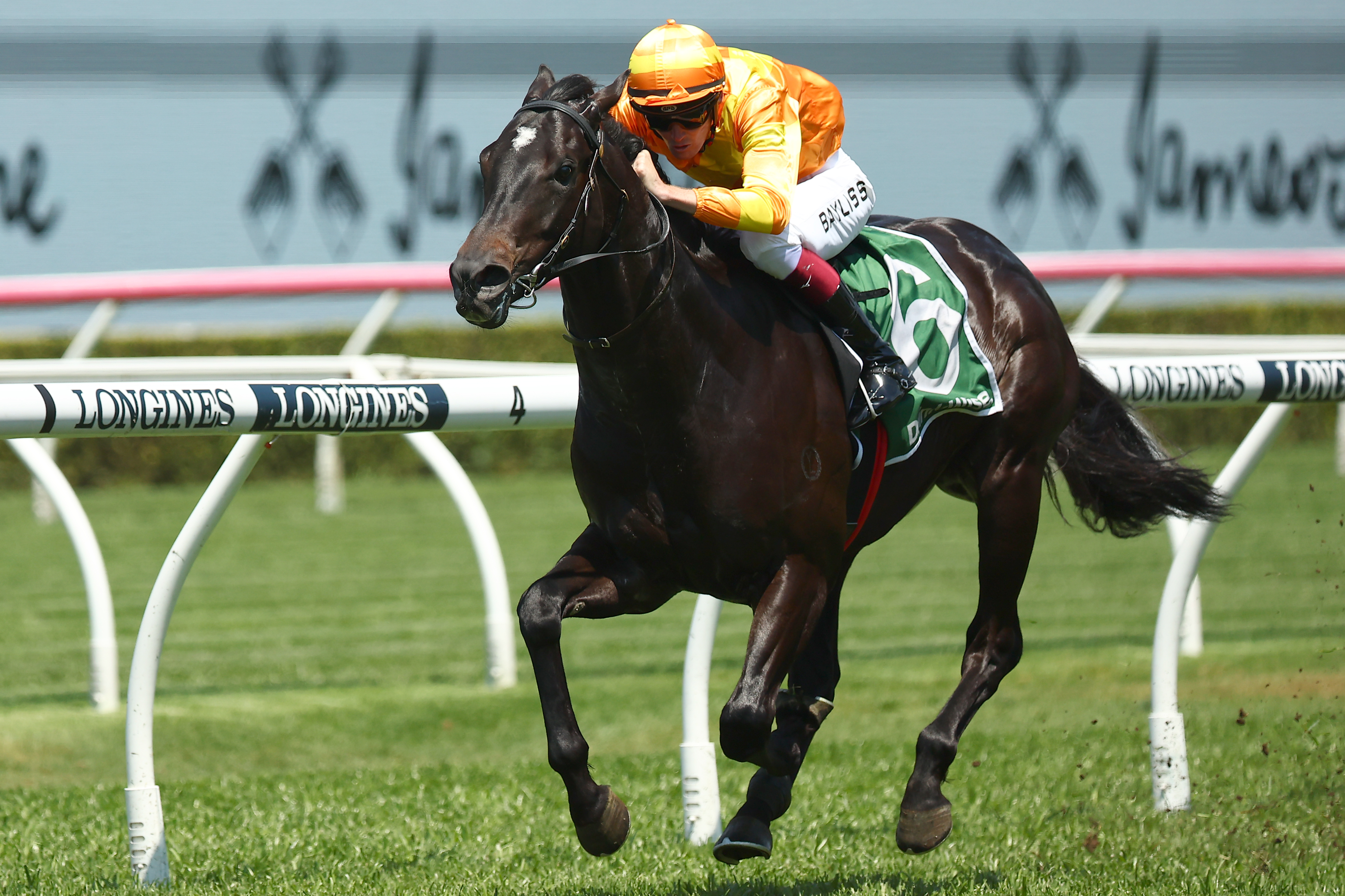 The forgotten horse in this year s Golden Slipper