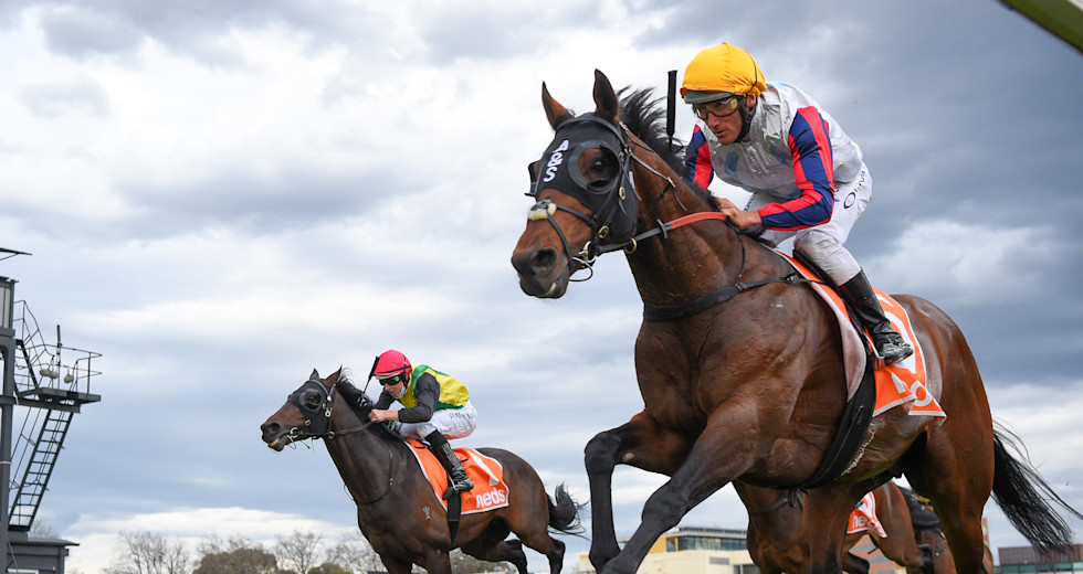 Caulfield cup 2021 weights