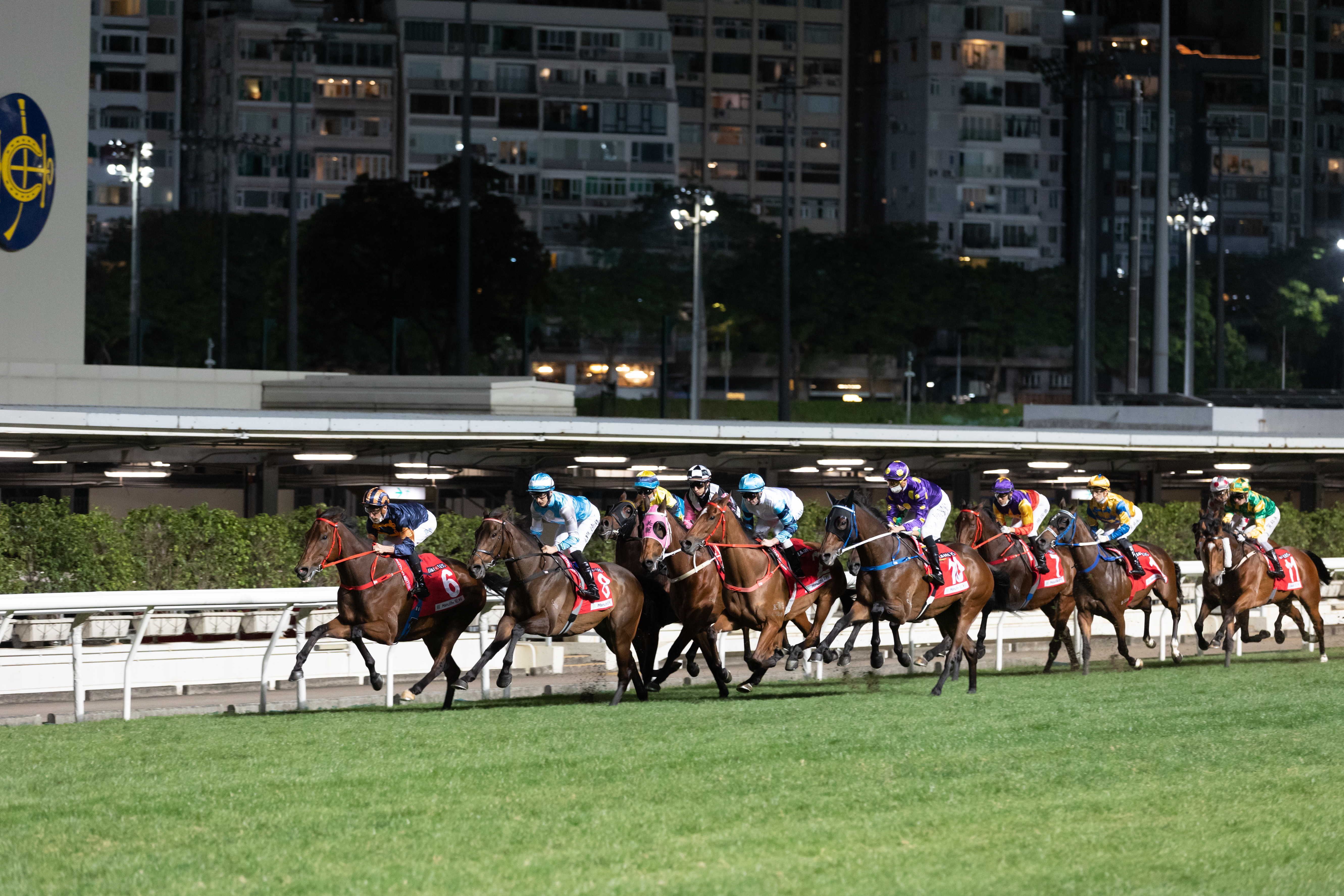 SEN Track: Tom Wood's Wednesday night best bets at Happy Valley