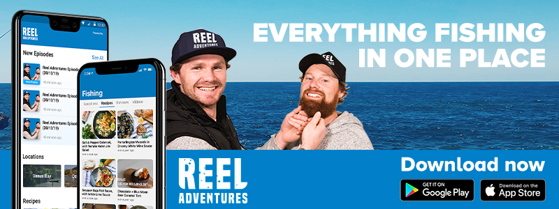 Reel Adventures eDM banner