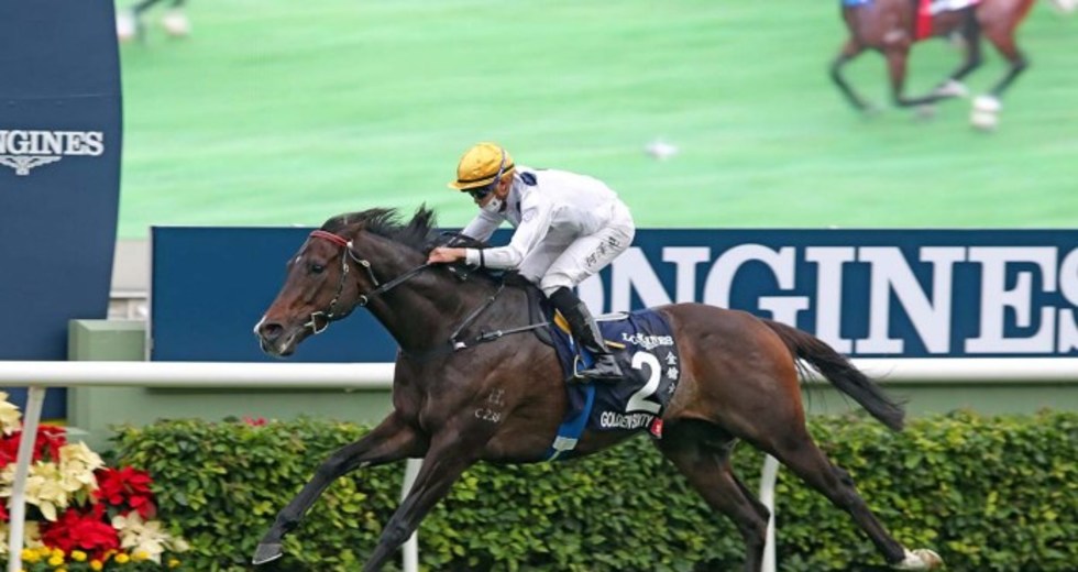 New Zealand Bloodstock Graduate Named Hong Kong Horse Of The Year