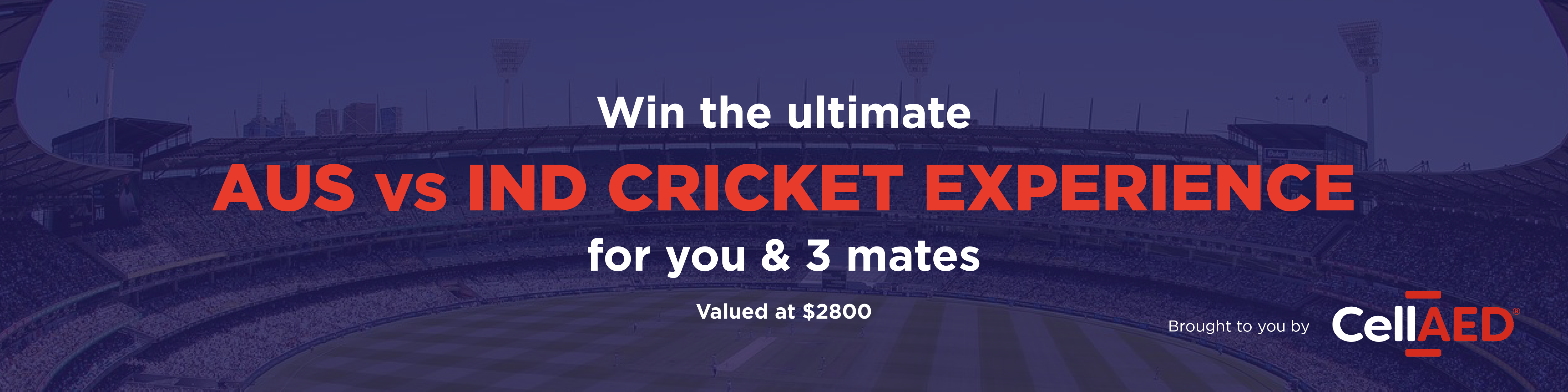 CellAED Cricket Experience Banner-1200x300