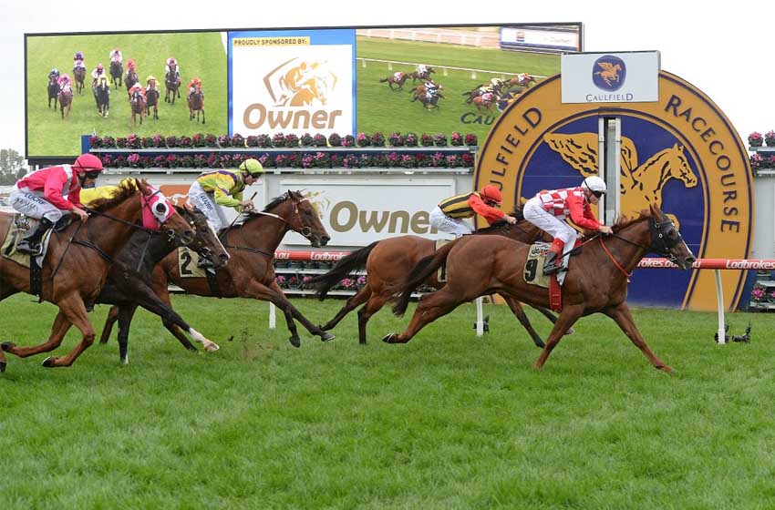The Odds Couple's Saturday Selections - Vimarsana News