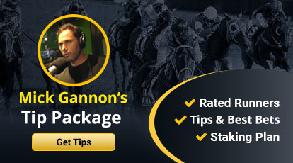 Mick-Gannon-Banner