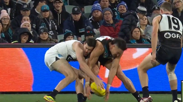 WATCH | Power ruckman in potential MRO hot water after high bump — SEN