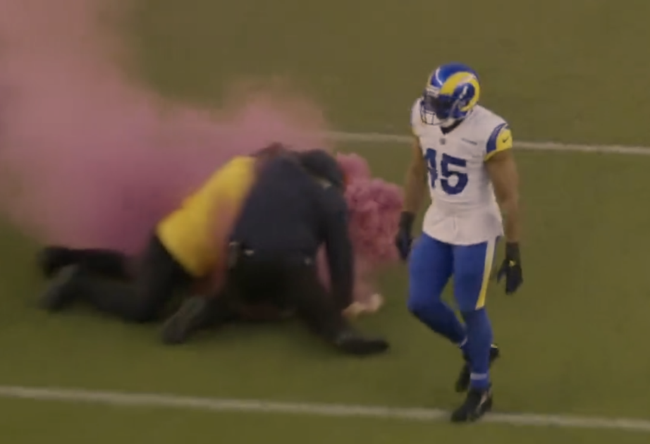 Bobby Wagner Tackles Protestor with Pink Smoke Bomb During Game