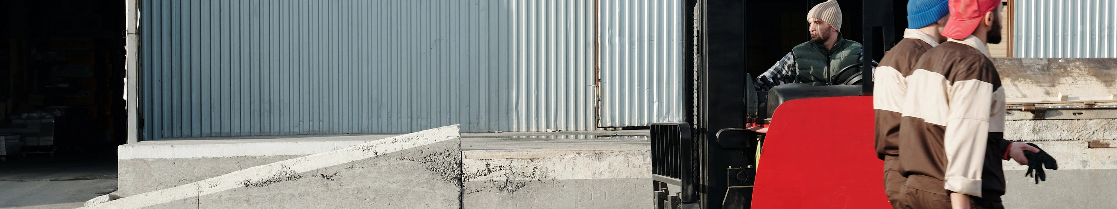 pexels-tiger-lily-4487447.jpg pexels-tiger-lily-4487447.jpg