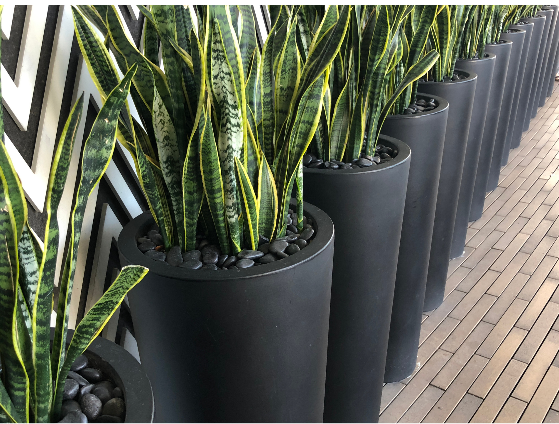 Planters