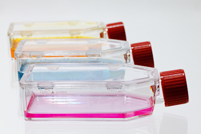 Cell Culture Bottle