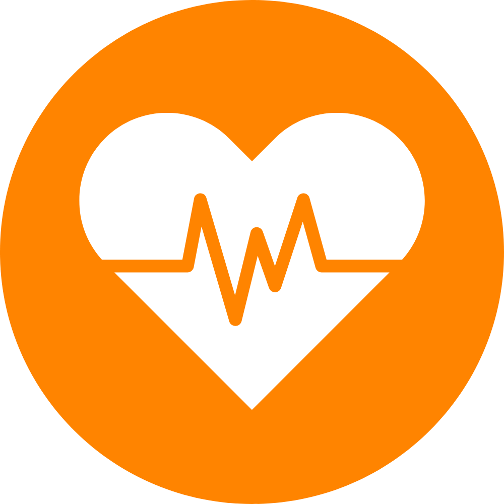 Health And Safety Icon