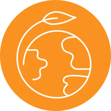 Sustainable Solutions Orange Sustainable Solutions Orange