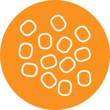 Own Compounding Orange Own Compounding Orange