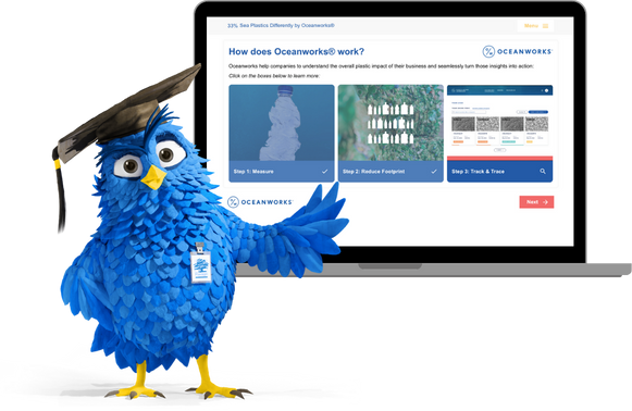 Rowly with Oceanworks Nugget