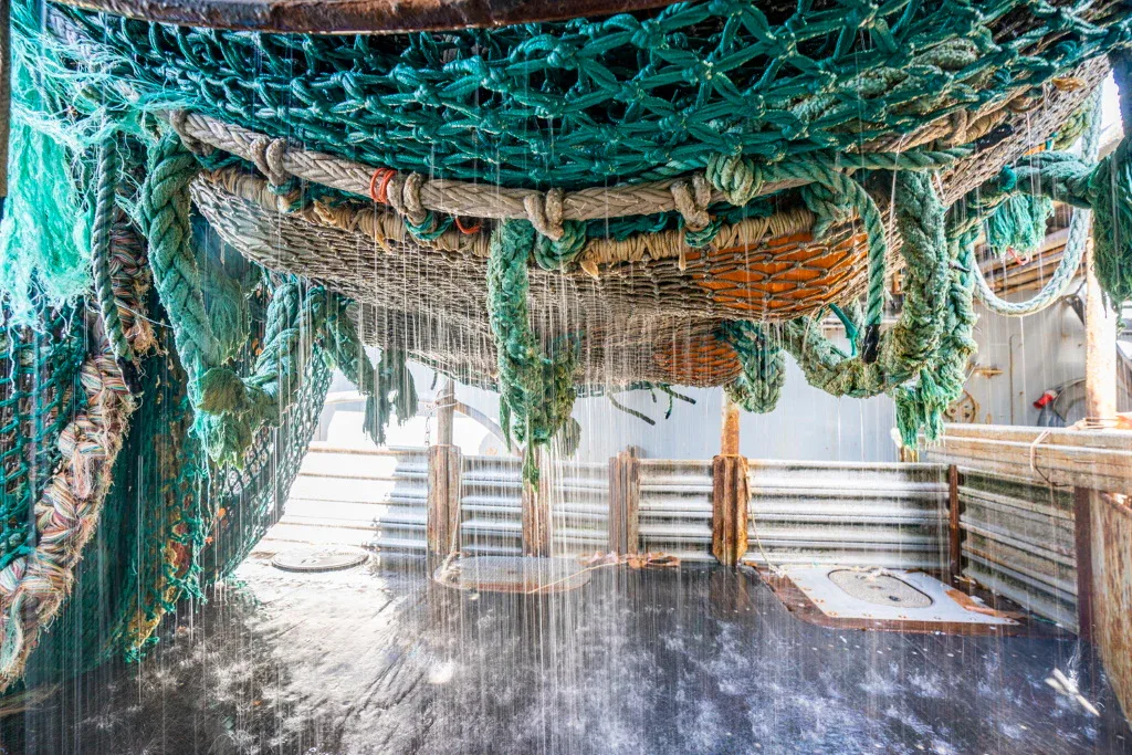 Chipolo Nets Chipolo Nets