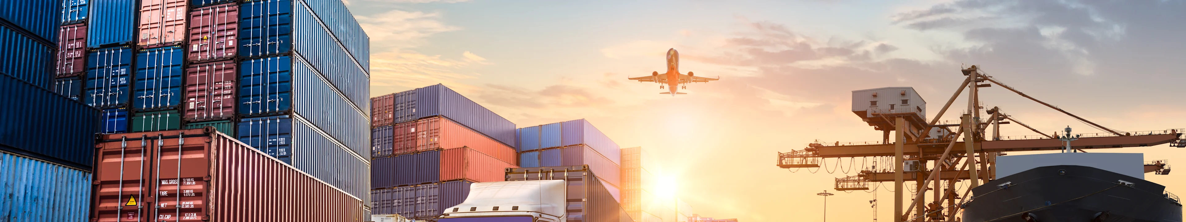 pexels-tiger-lily-4481259.jpg pexels-tiger-lily-4481259.jpg