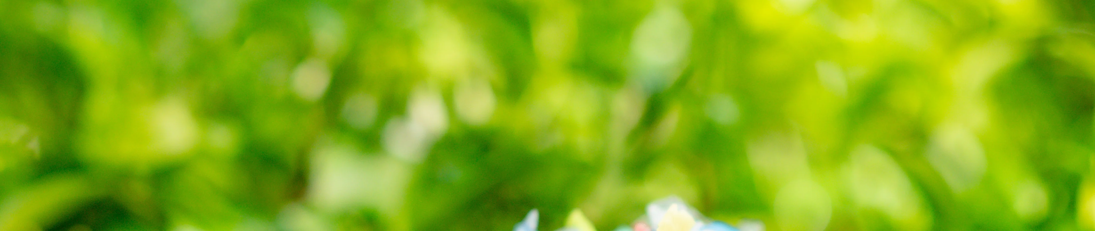 Polymer Flake - Mechanical Recylcing Polymer Flake - Mechanical Recylcing