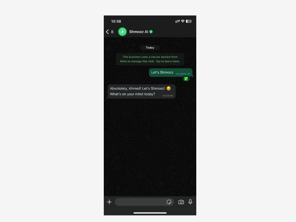 Using WhatsApp chatbot for summarization