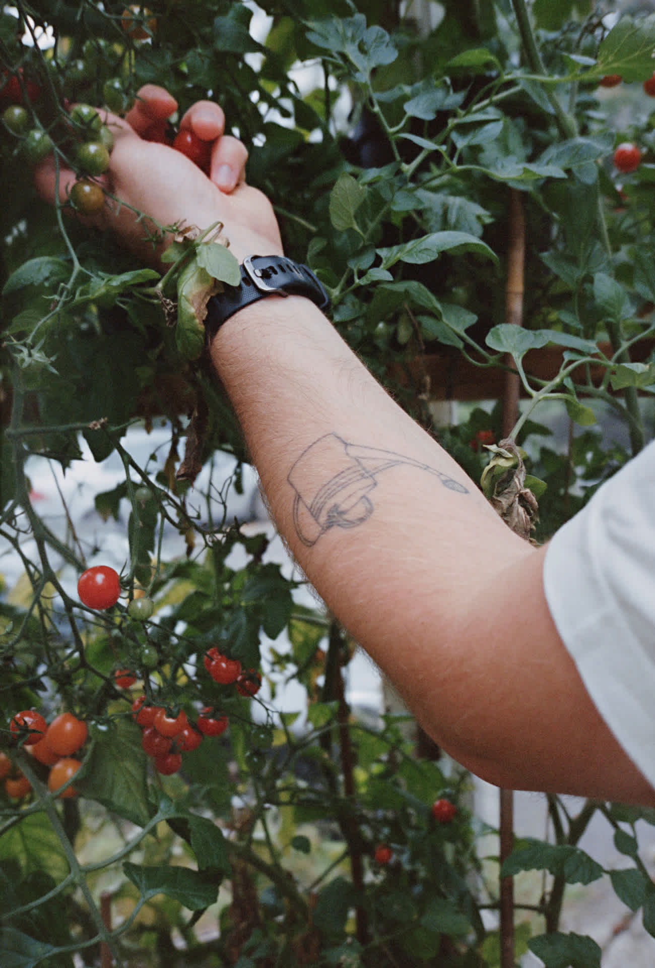 A tattoo of a watering pot on Erik's arm