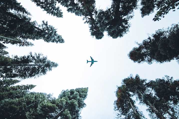 What the transport industry can learn from aviation safety