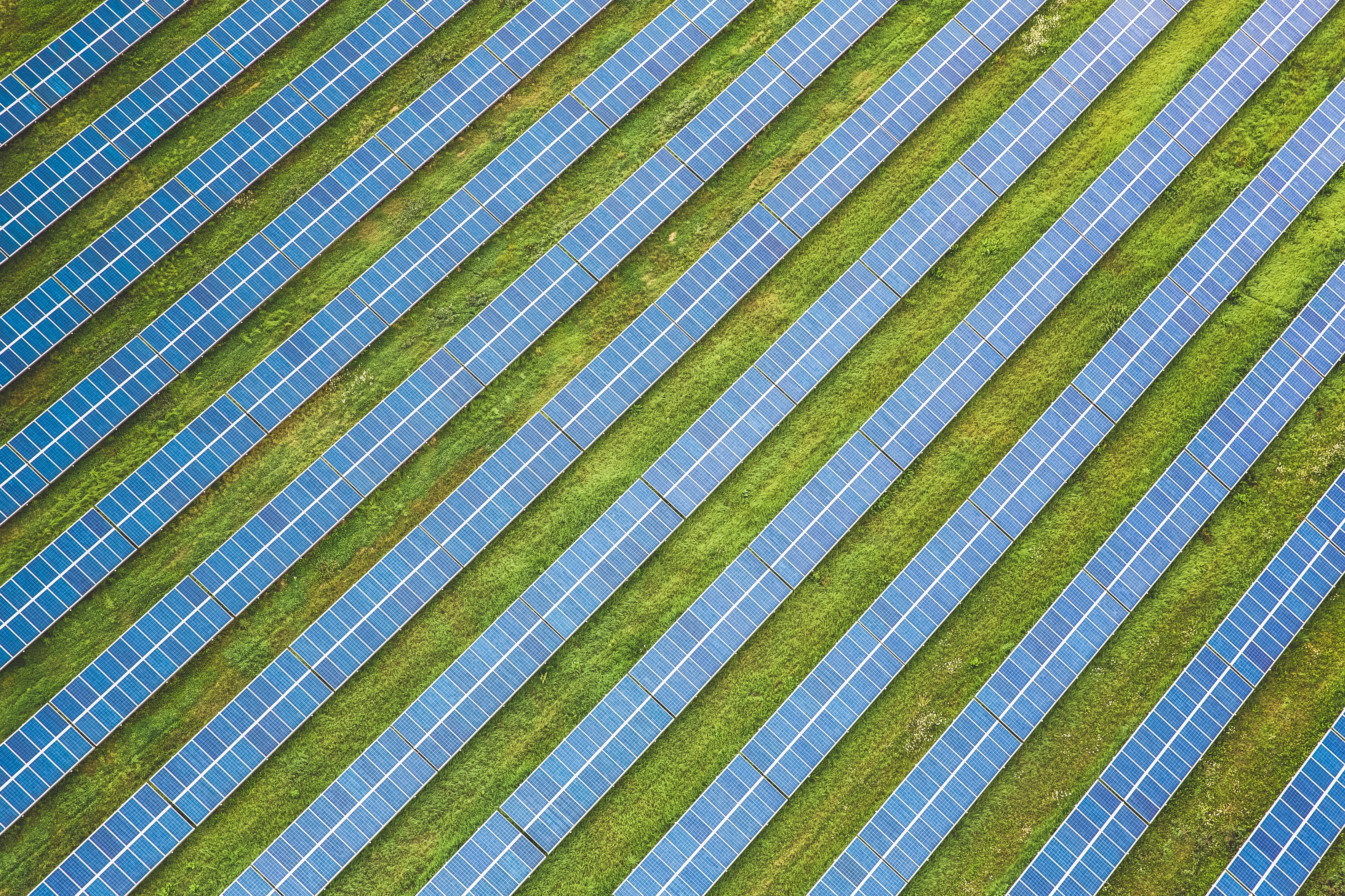 Paneles solares