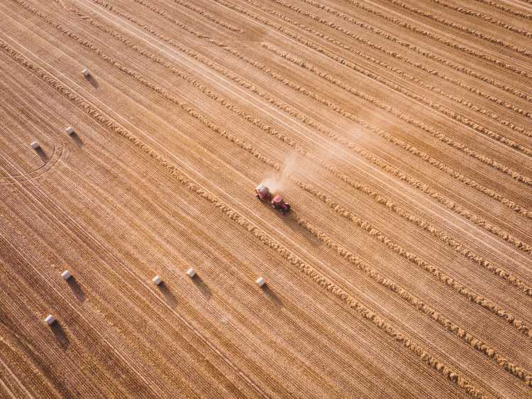 Tractor at a hay field