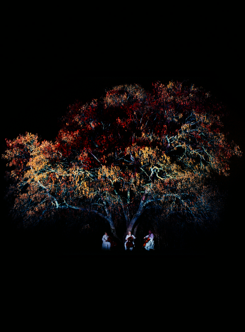 Three cellists in white robes in front of a blooming tree.