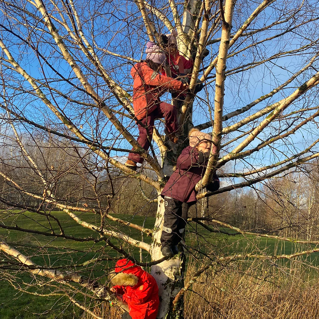 Collaboration with Reima Tree image