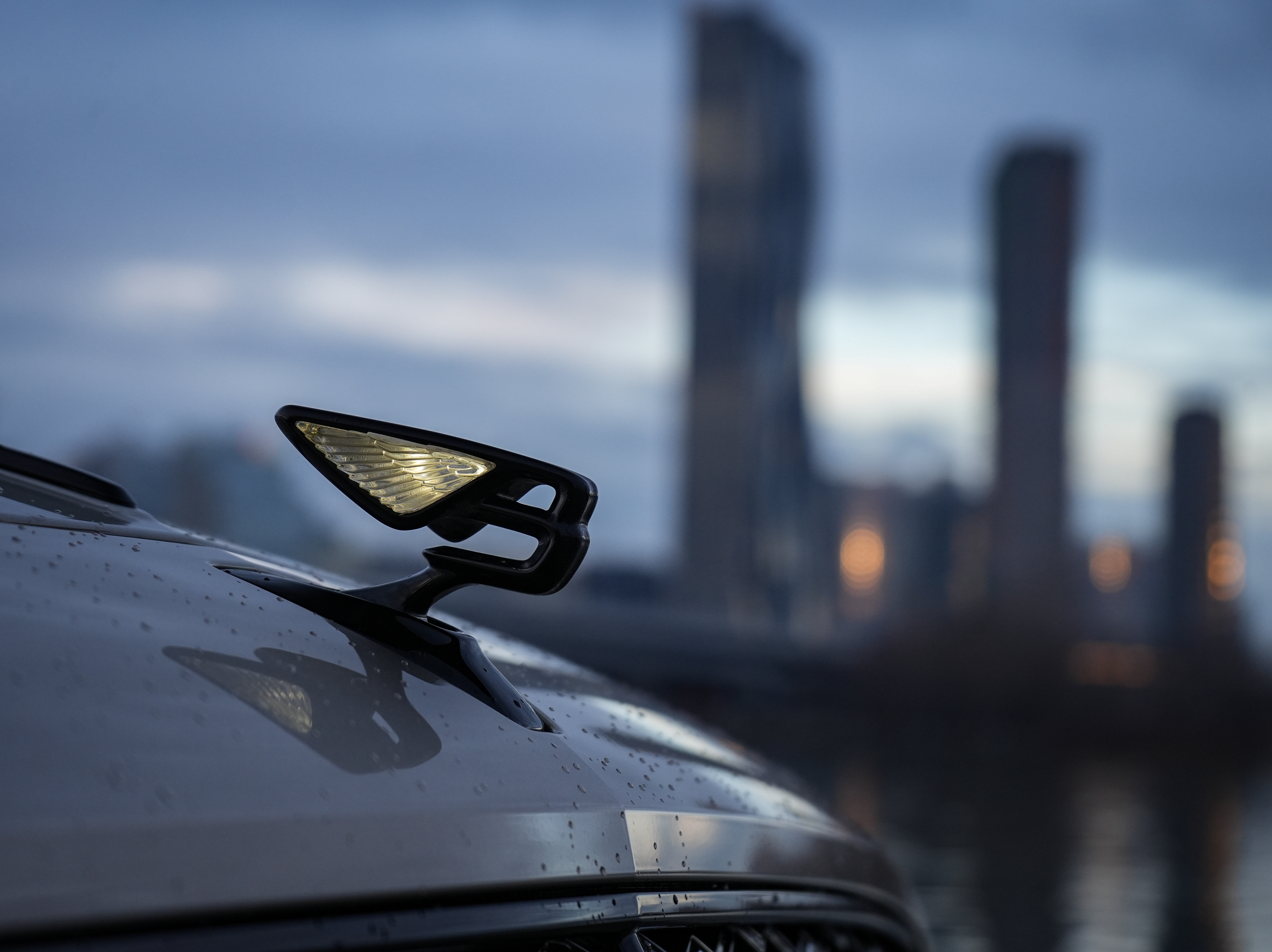 Bentley_Detail