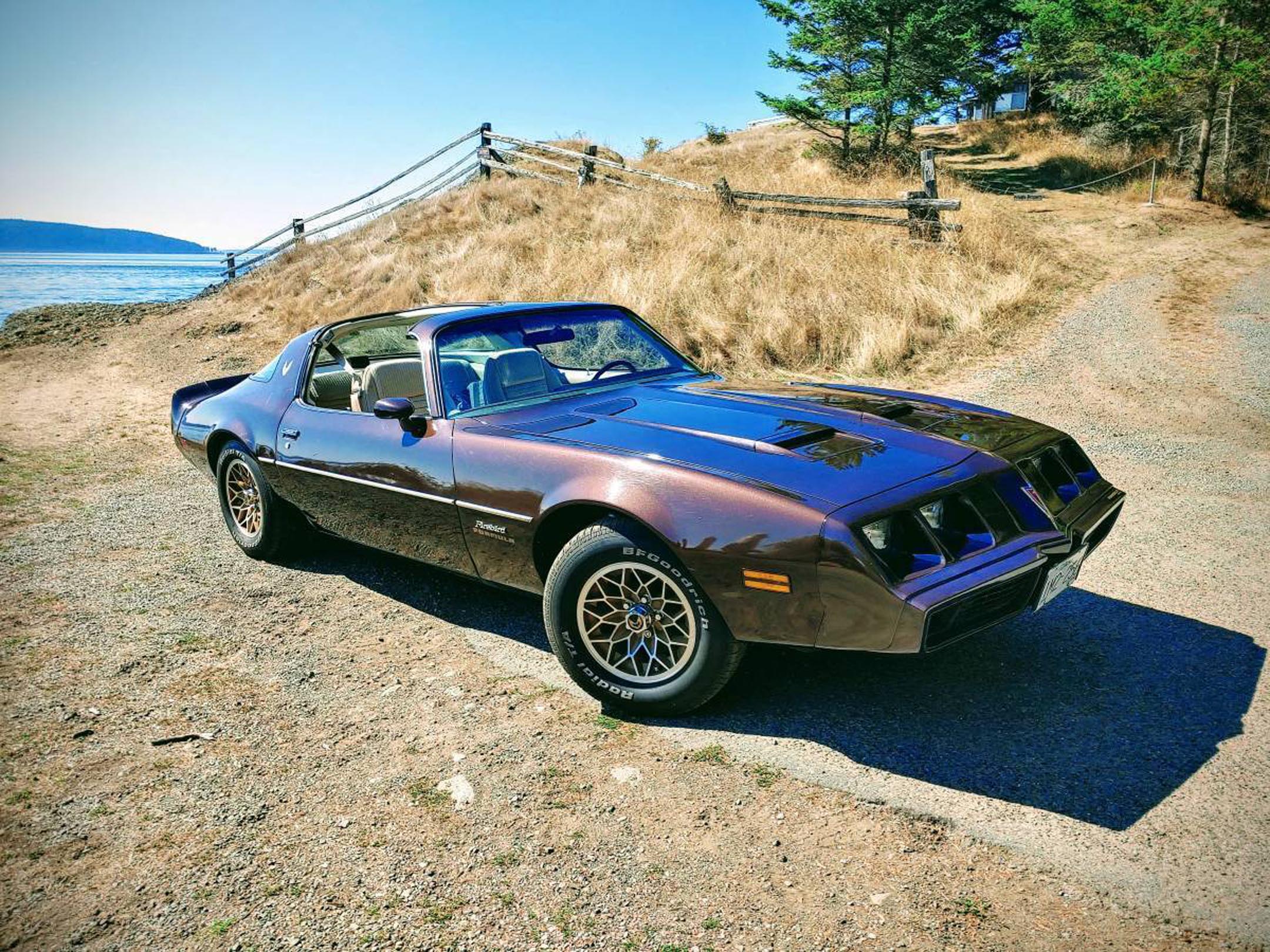 AutoTrader Find of the Week: 1981 Pontiac Firebird is Cartoonishly