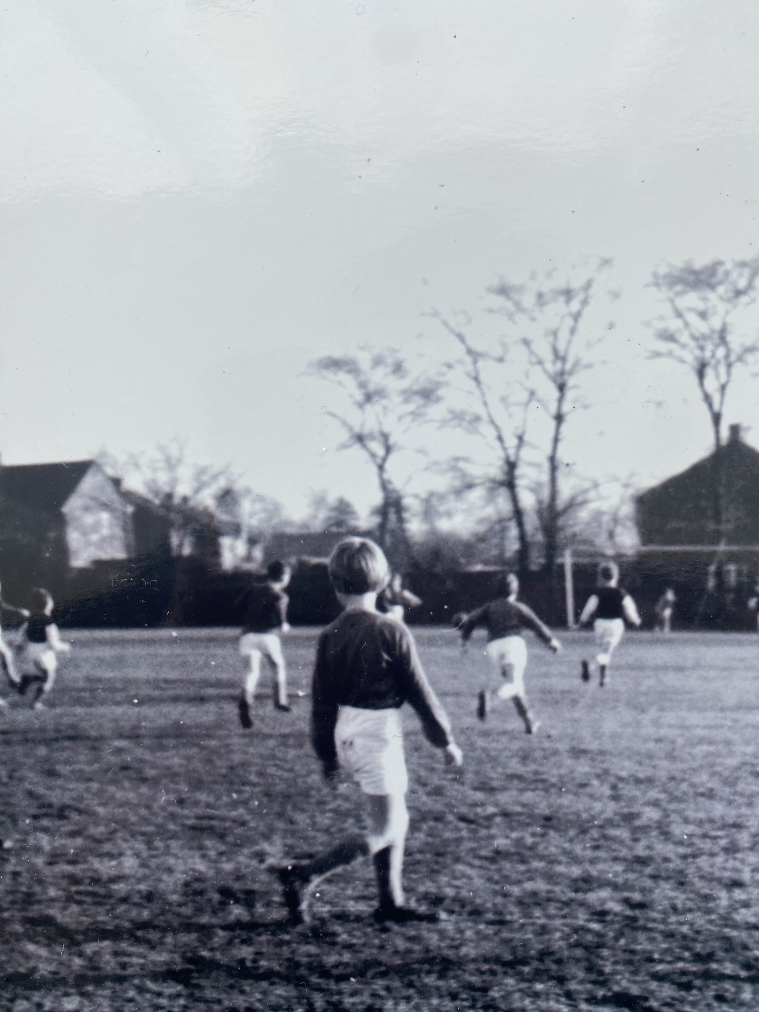 Haydn football@0.5x