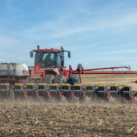 Rear shot of planting in the field