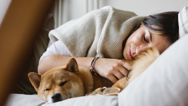 Woman lying with Shiba Inu dog on couch