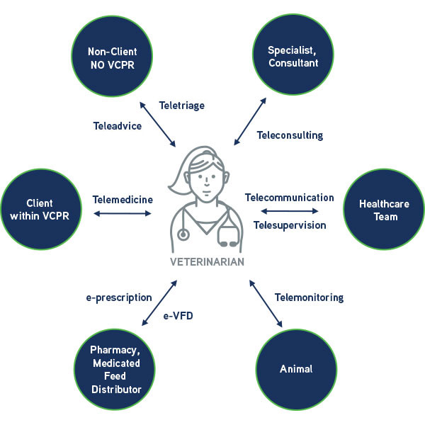 Veterinary telehealth services diagram