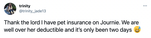 pet-insurance-testimonial-twitter-trinity
