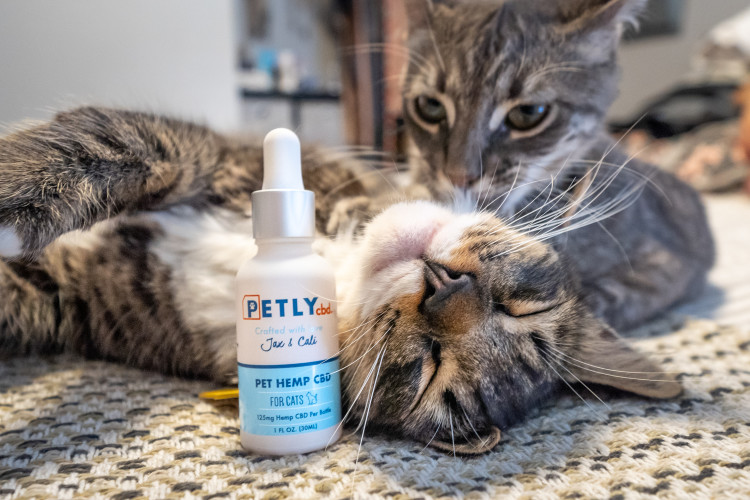 Two cats with Petly CBD