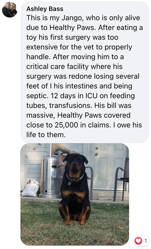 pet insurance testimonial 1