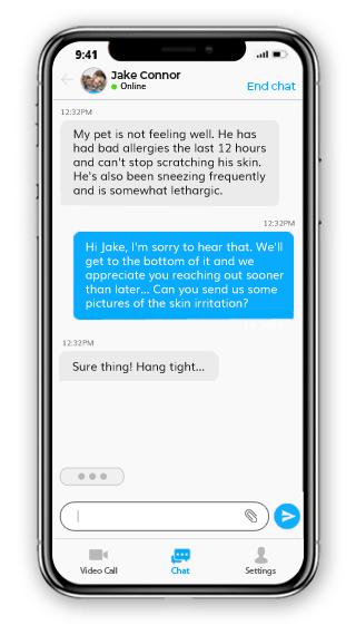vet chat on mobile
