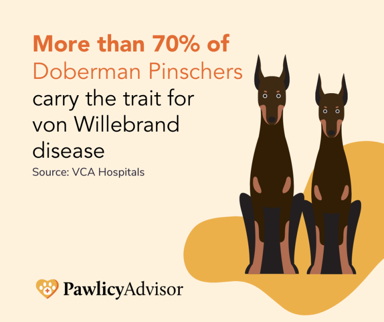 doberman pinscher von willebrand disease