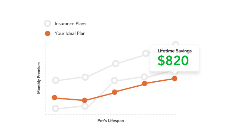 How To Compare Pet Insurance Plans, Evaluate Top Providers, & Find The Best  Policy At The Best Price | Pawlicy Advisor