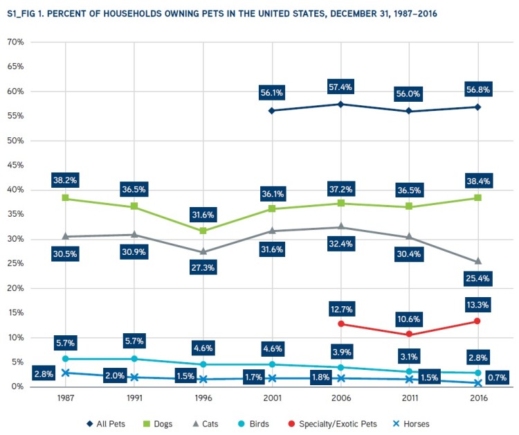 what percentage of the us has a dog