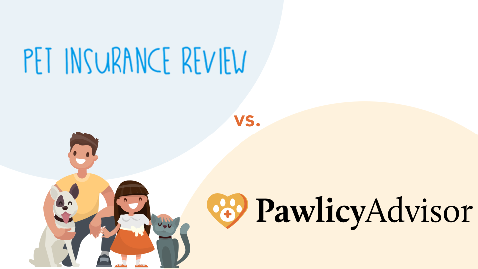 Is Walmart Pet Insurance Good Heres How It Stacks Up Pawlicy Advisor