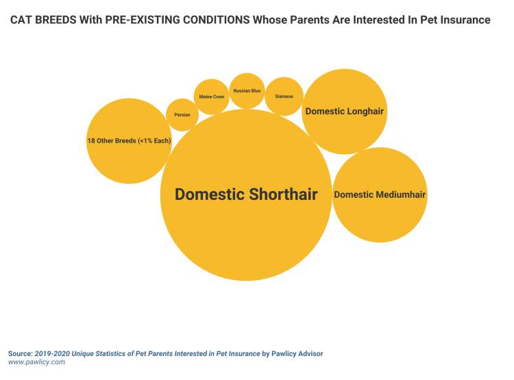 cat breeds with pre-existing conditions whose parents are interested in pet insurance