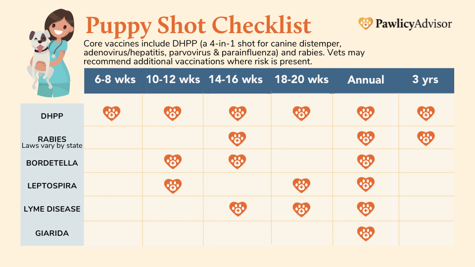 lepto 4 vaccine schedule puppy