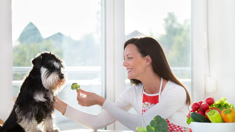woman serving broccoli to a dog